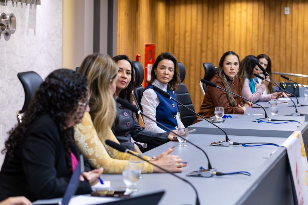 Assembleia sedia reunião da Rede de Enfrentamento à Violência Doméstica e reforça atuação integrada