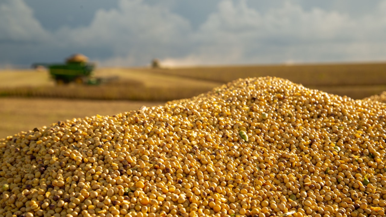 Super El Niño pode reduzir produção de soja em 10%, estima Serasa