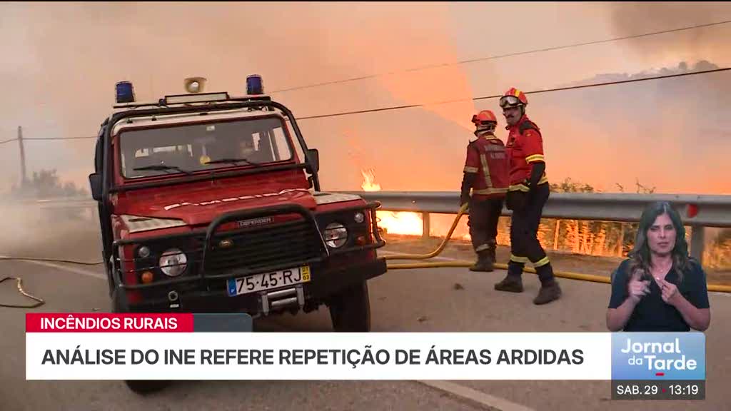 Covilhã é o concelho com mais área ardida entre 2020 e 2025