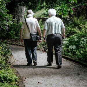 Prevenção de Quedas: 39% dos idosos caem duas ou mais vezes por ano