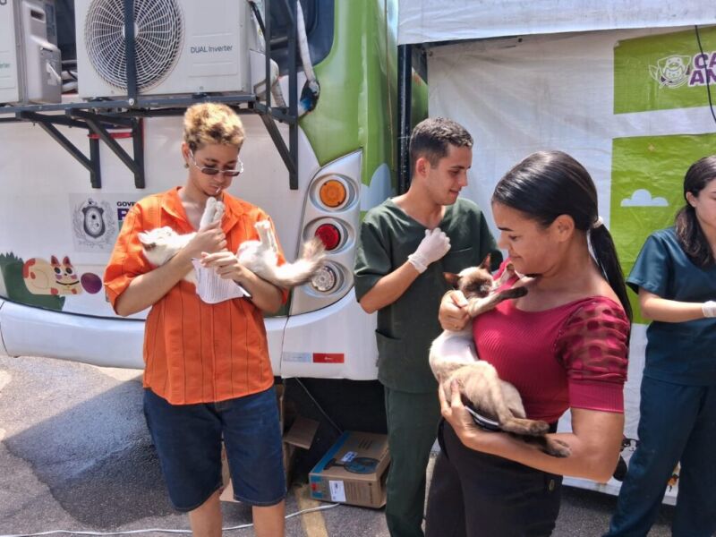 Olinda: CastraMóvel oferta mais de 1 mil vagas em castração gratuita de cães e gatos em Rio Doce