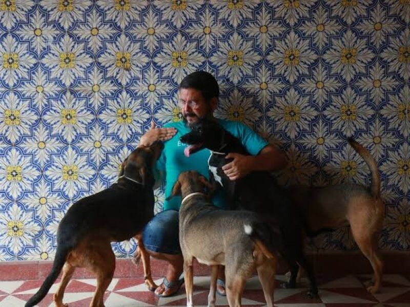 Abrigo que já salvou mais de mil animais pede ajuda para continuar funcionando no Recife