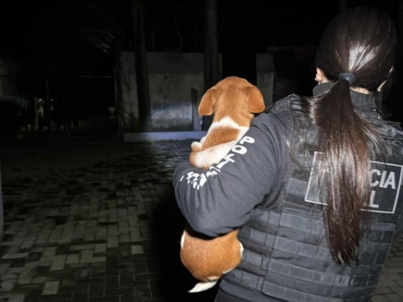 Ex-secretária de Bem-Estar Animal é denunciada por maus