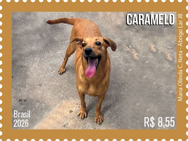 Cachorro caramelo é homenageado pelos Correios em série especial de selos postais