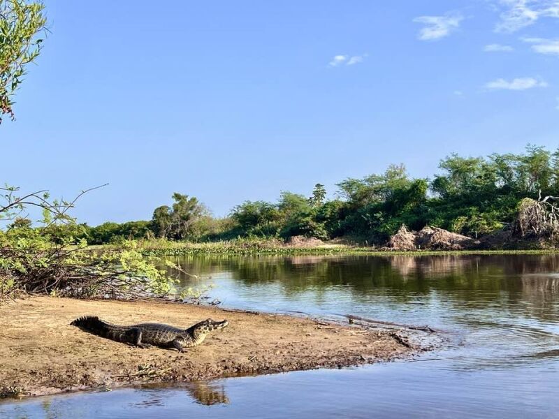 Pantanal: onde a grande atração é a Natureza!