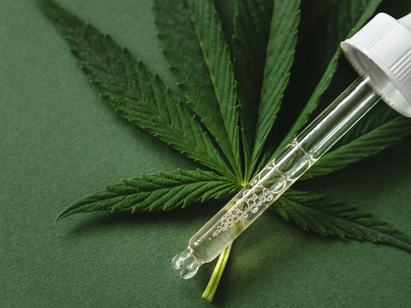 Cannabis medicinal para pets: uma alternativa à medicina
