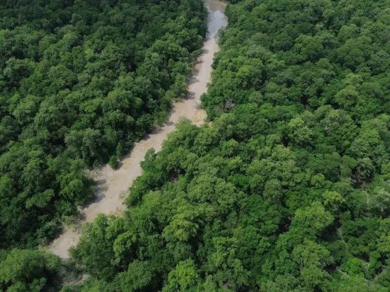Veja os planos de governo de Flávio e Lula para meio ambiente e clima