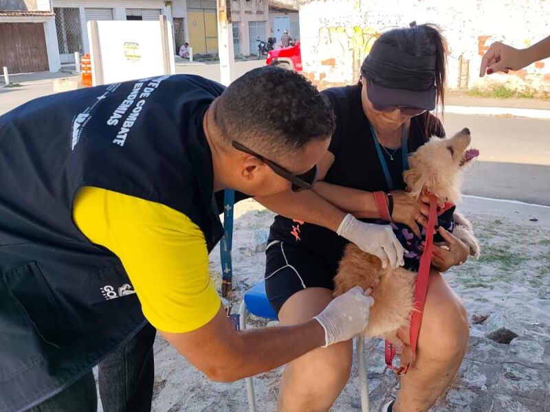 Prefeitura de Goiana inicia pré-campanha de vacinação antirrábica itinerante para cães e gatos