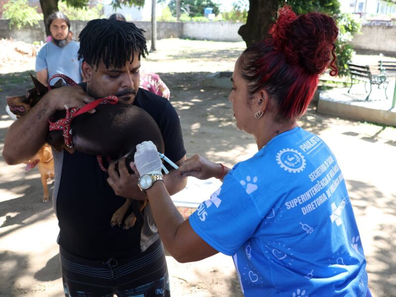 Paulista disponibiliza vacinação antirrábica em dois pontos da cidade neste sábado (17)