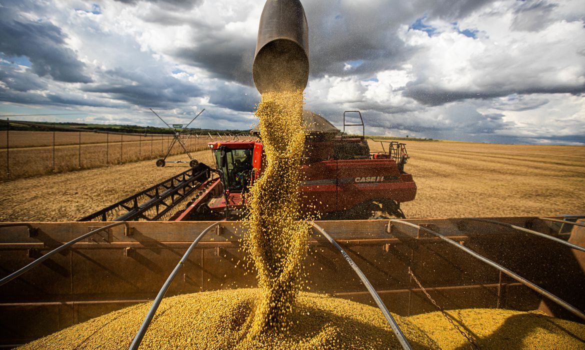 WRI Brasil propõe integração de dados para rastrear soja e carne