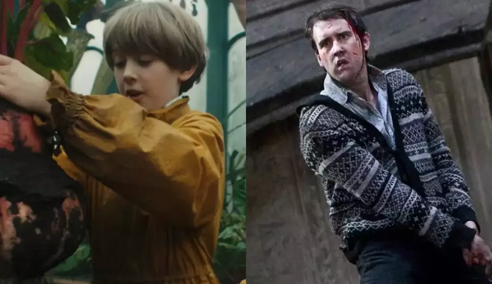 Harry Potter | Matthew Lewis deixa mensagem para novo Neville Longbottom da série