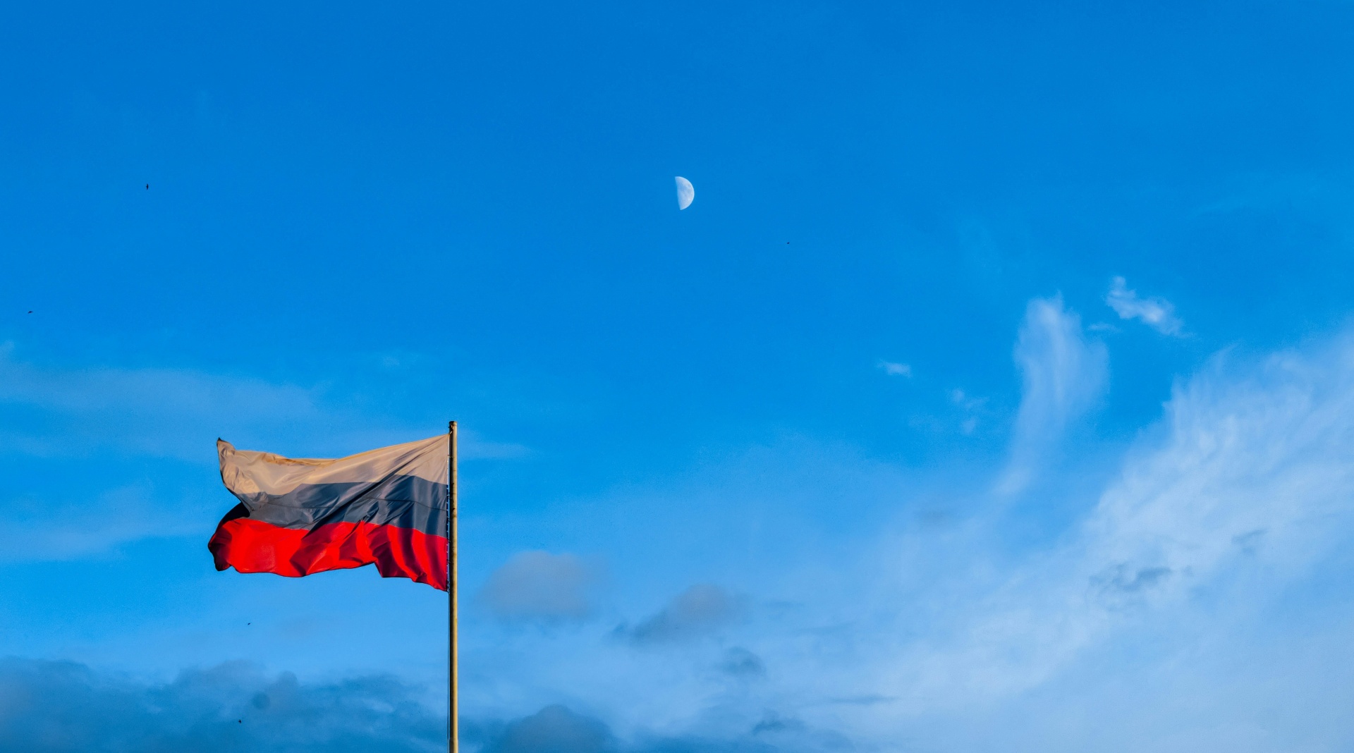 Software da Cellebrite acede a telemóveis na Rússia após corte de relações