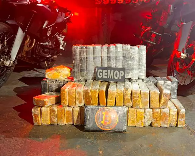 GCM é acionada para averiguar cárcere e prende idosa com 60 kg de cocaína