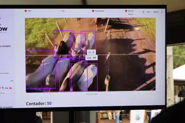 Startup de MS desenvolve IA que identifica e monitora bovinos por imagem