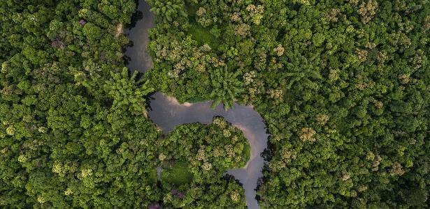 Como equilibrar produção agrícola e conservação de florestas no Brasil?
