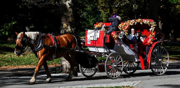 Nova York proíbe carruagens puxadas por cavalos após morte de turista