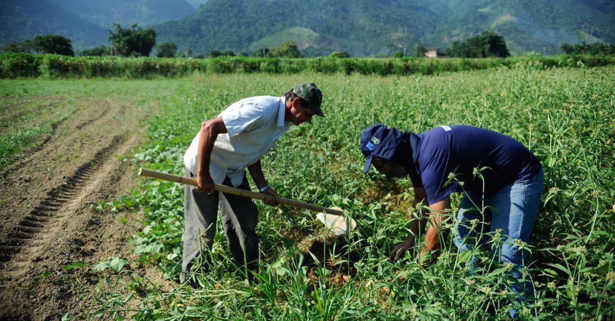 Finep investe R$ 220 milhões em inovação para agricultura familiar