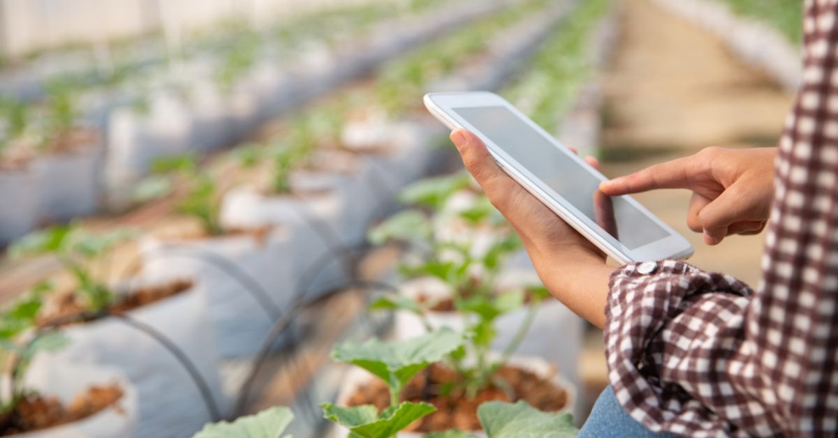 Algar e Usina Coruripe investem R$ 3,7 milhões em conectividade rural