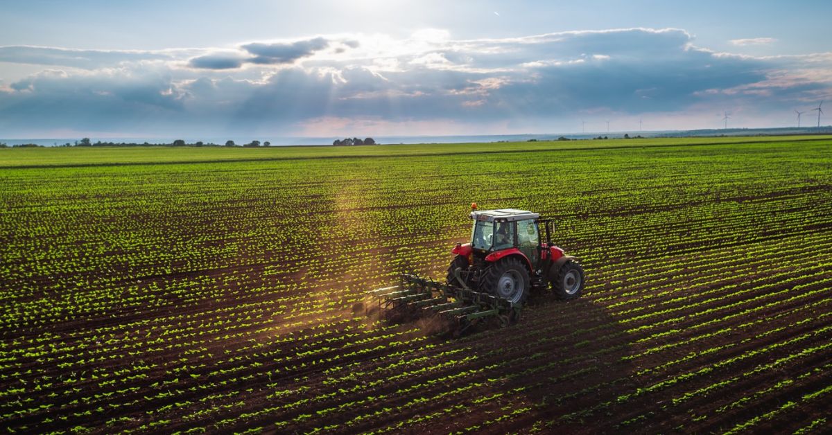 El Niño deve se intensificar no segundo semestre e ameaça produção agropecuária mineira