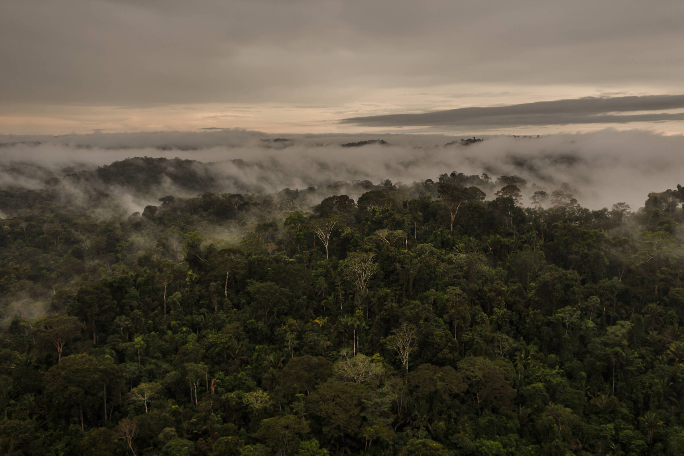 Câmara ameaça 555 mil hectares de áreas protegidas em nova ofensiva antiambiental