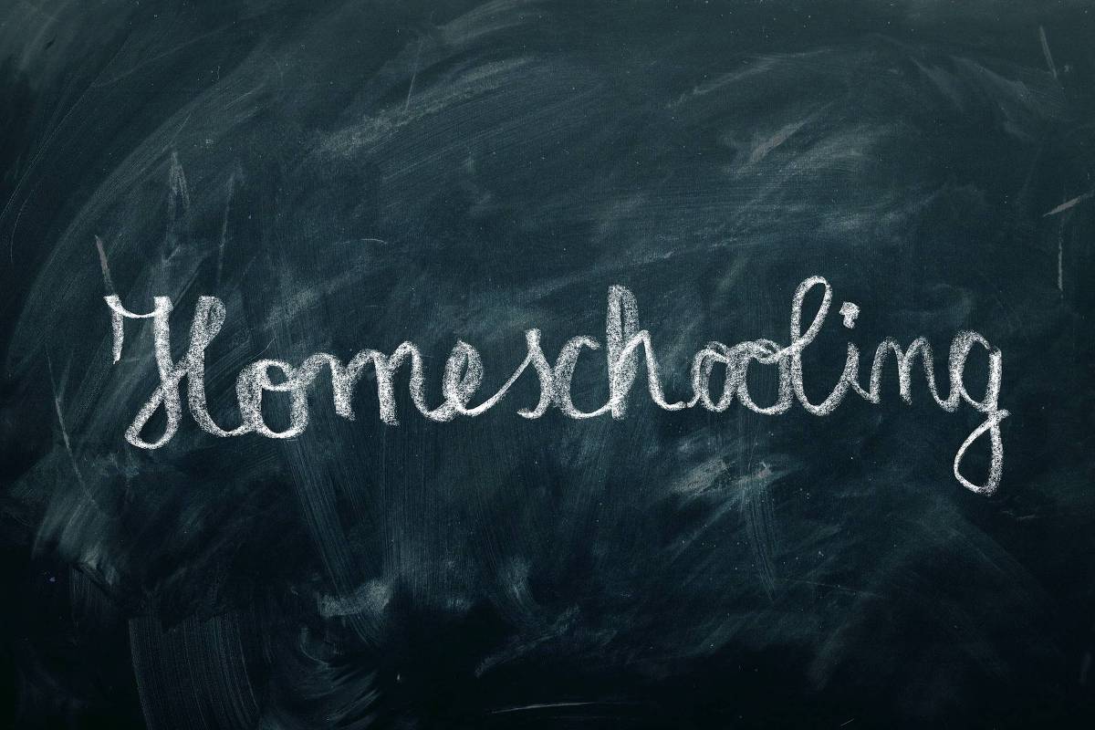 Opinião - Marina Fragata Chicaro e Talita Nascimento: Homeschooling enfraquece o que o Brasil mais precisa fortalecer: a escola