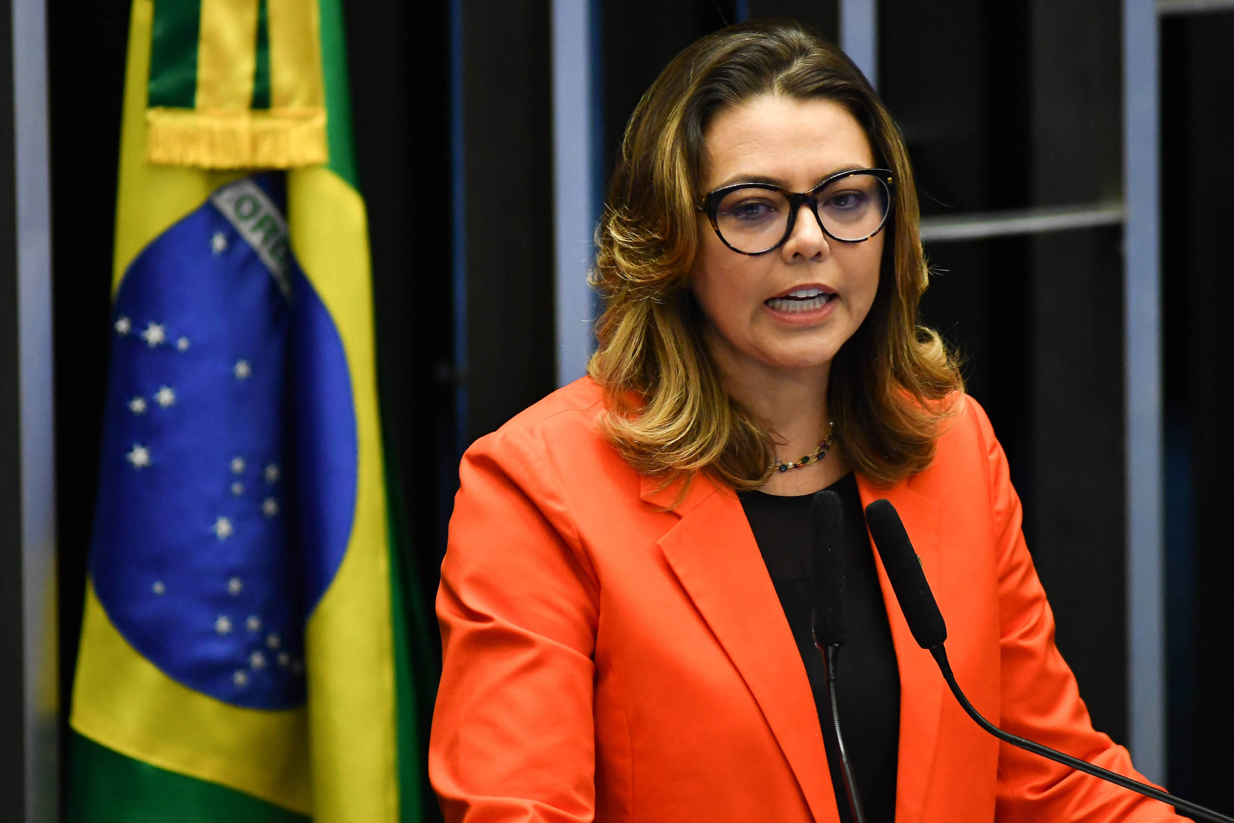 Congresso discute exclusividade dos Correios em encomendas isentas da taxa das blusinhas