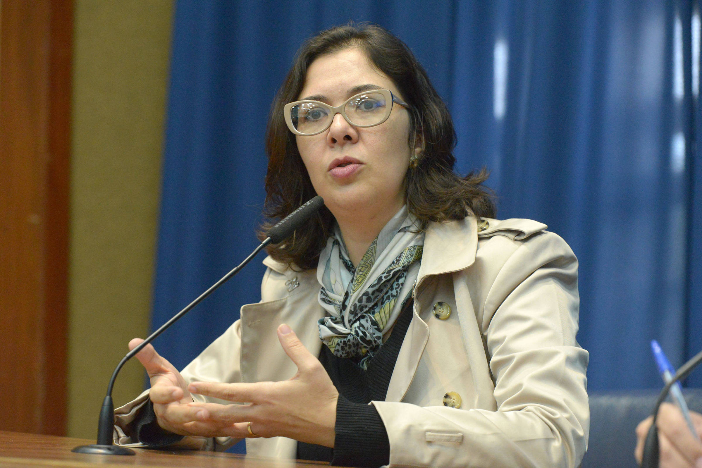 Opinião - Adriana Fernandes: Brasil vive hoje uma quadro de feudalismo fiscal