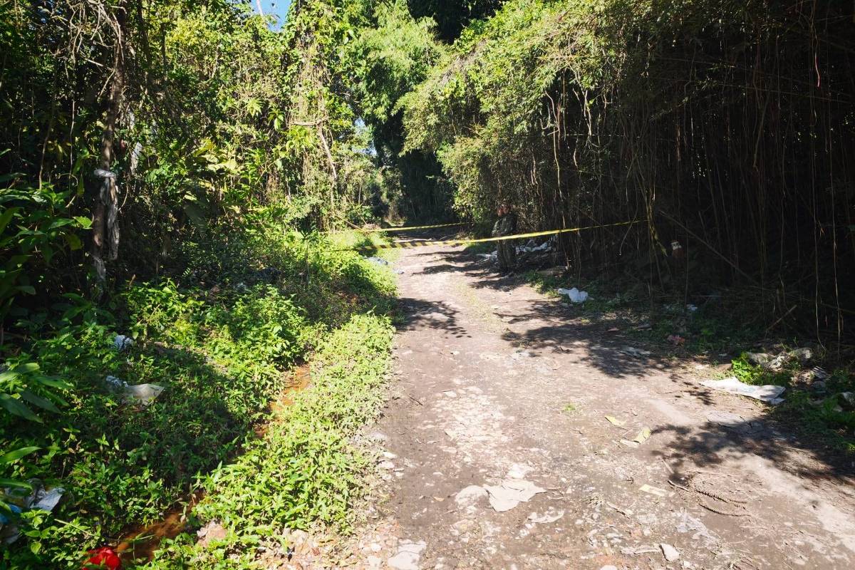 Corpos encontrados em SP são de mãe de menino e suspeito de sequestro, confirma polícia