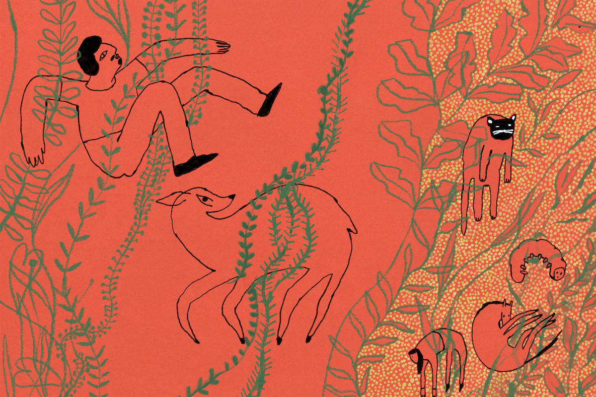 O poderoso sistema imune das plantas que nós nem percebemos