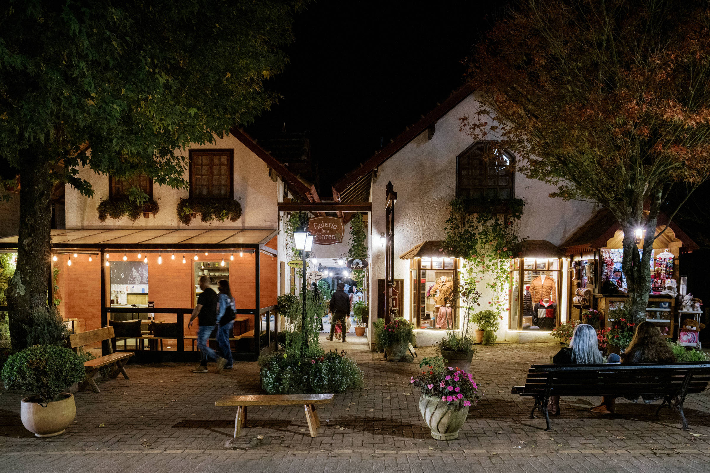 Monte Verde (MG) vai cobrar taxa ambiental de turistas a partir de julho