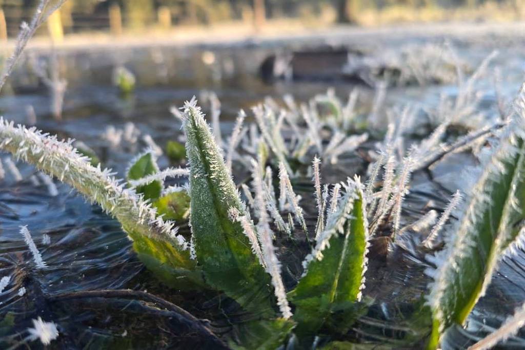 SC registra menor temperatura do ano e 44 cidades ficam abaixo de 0ºC