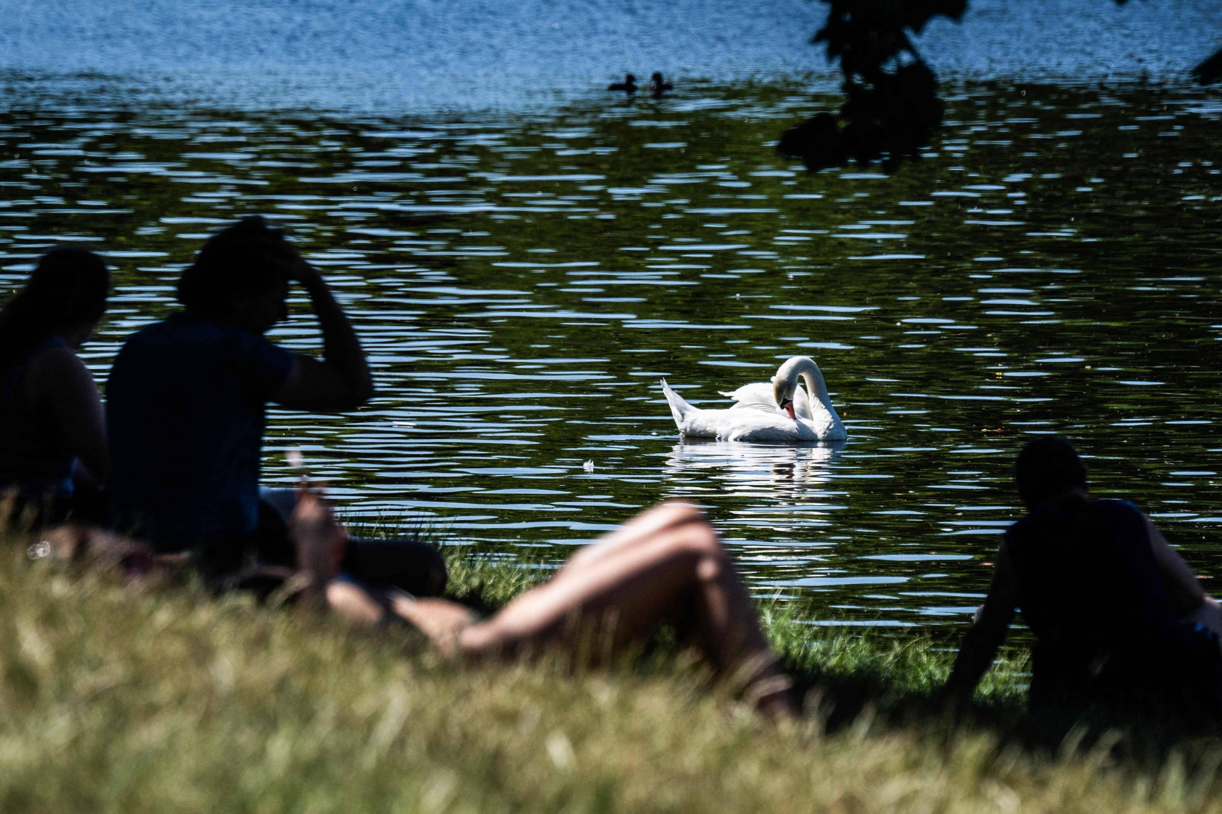 Alemanha registra temperatura recorde, e Berlim tira férias