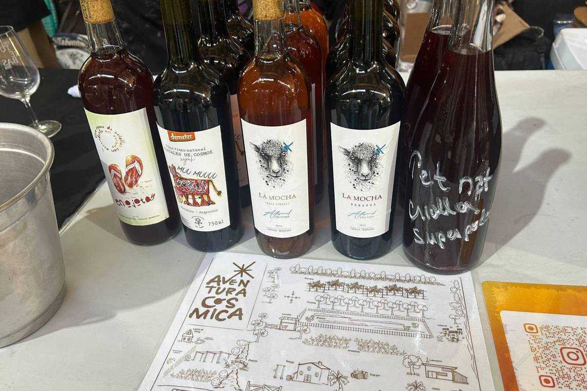 Biodiversidade brasileira e resgate de processos ancestrais são foco de feira de vinhos naturais em São Paulo