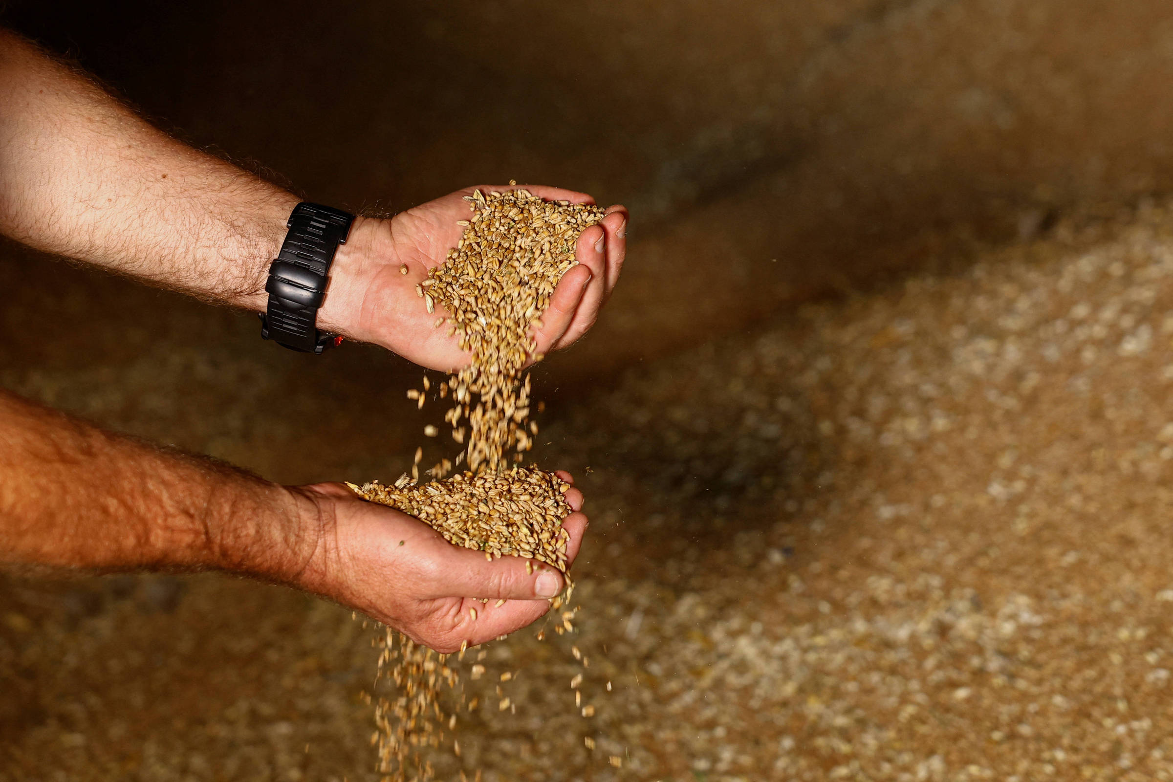 Vaivém: Calor e El Niño afetam preços globais da alimentação, aponta FAO