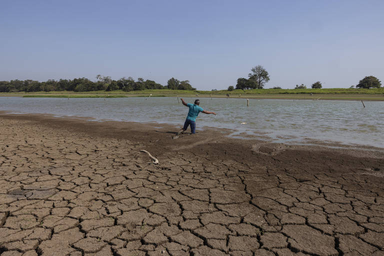 Cientistas usam 'impressão digital' da água para mapear alterações nas chuvas da amazônia