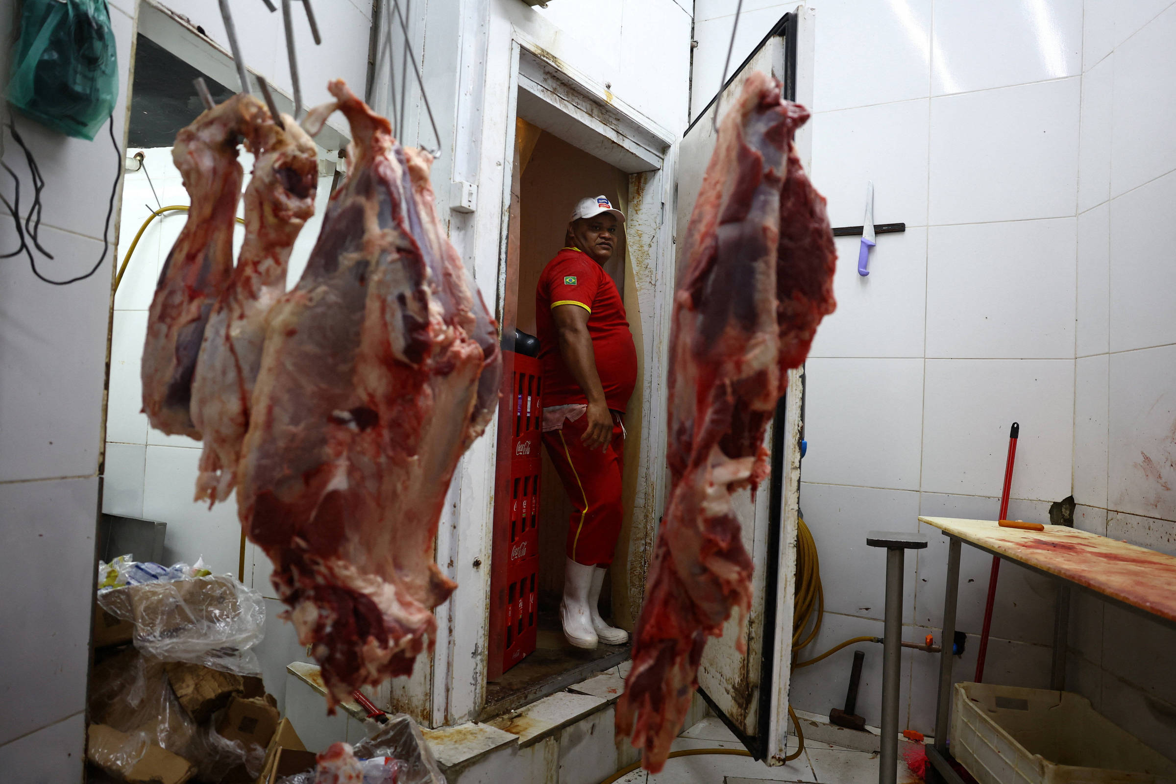 Painel: Governo e setor produtivo esperam voltar a exportar frango e mel em até dois meses