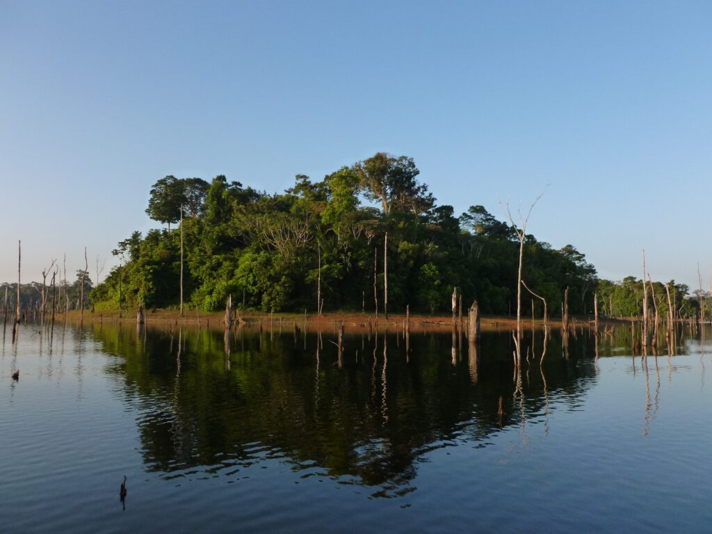 Até pequenos fragmentos de floresta podem ser importantes refúgios para as aves. Tudo depende da paisagem envolvente