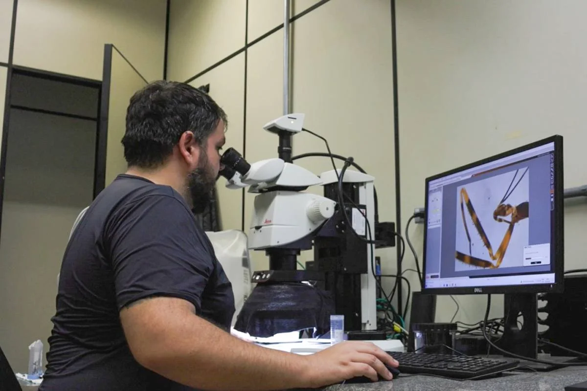 Pesquisador da Unesp desvenda mistério de inseto barbeiro na Europa