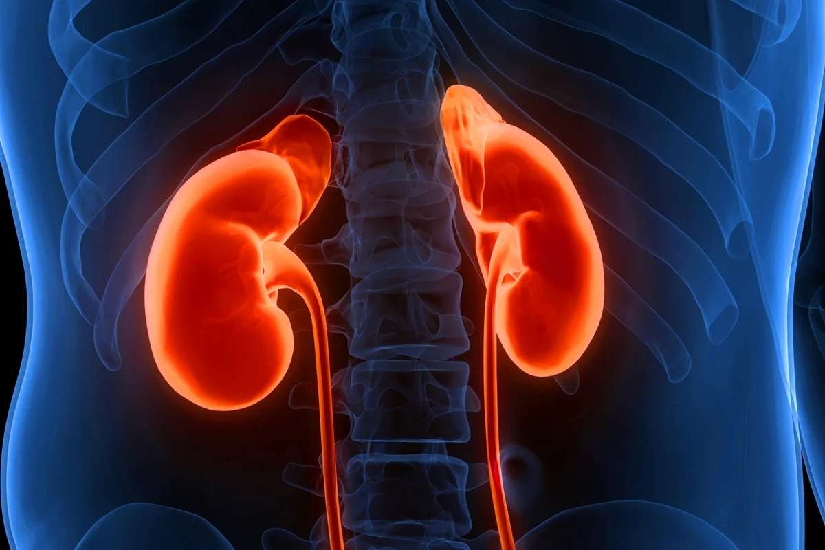 Oncologista alerta para alta do câncer de rim; veja sinais de alerta