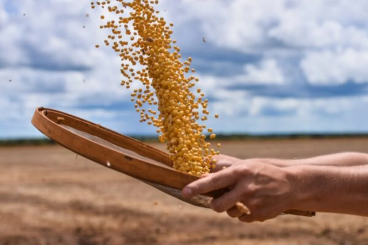Governo avalia MP para evitar bomba fiscal com dívidas do agro