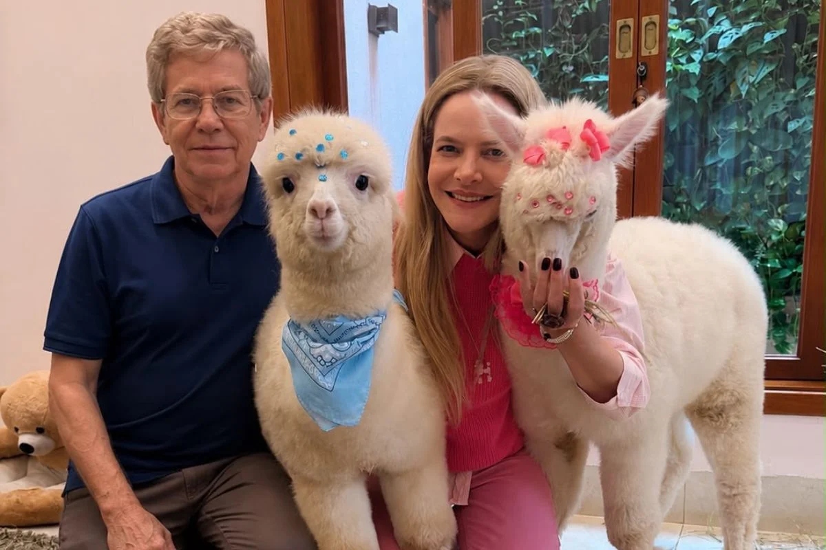 Casal cria alpacas em casa e prepara projeto social com os animais