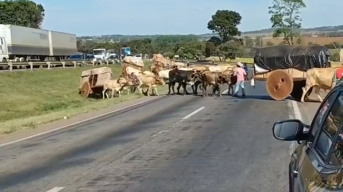 Carros de boi cruzam a BR