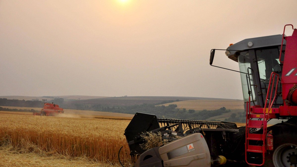 Produção agrícola brasileira superou R$ 927 bilhões em 2025