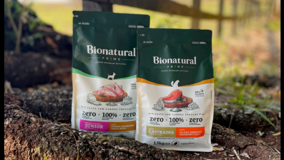 Do quintal à cama: como mudou o mercado de alimentação pet