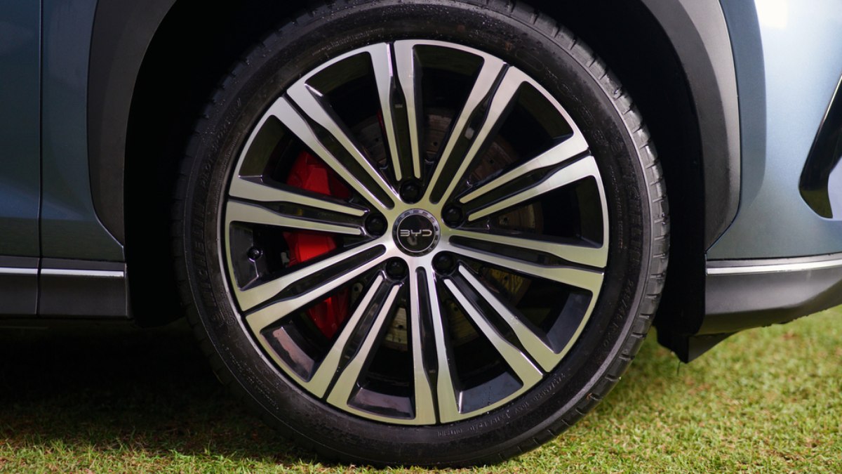 BYD desenvolve tecnologia que detecta animais embaixo do
carro