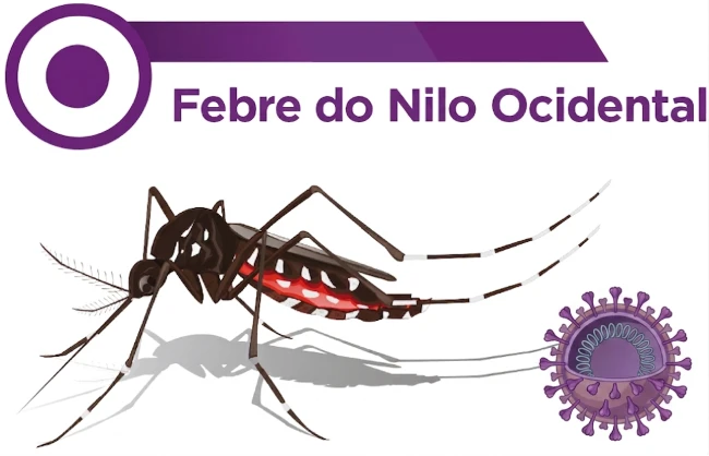 Febre do Nilo Ocidental: SP confirma 2 primeiros casos humanos e Santa Catarina registra primeira morte
