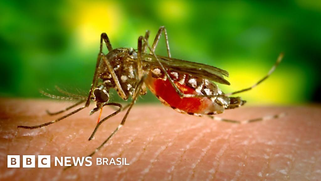 'Vacina do Butantan contra dengue seria aprovada em qualquer lugar do mundo', diz ex