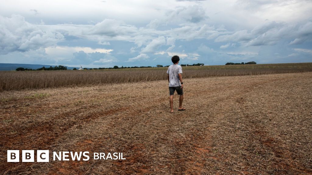 Primavera começa nesta terça: o que esperar da estação com o El Niño no Brasil