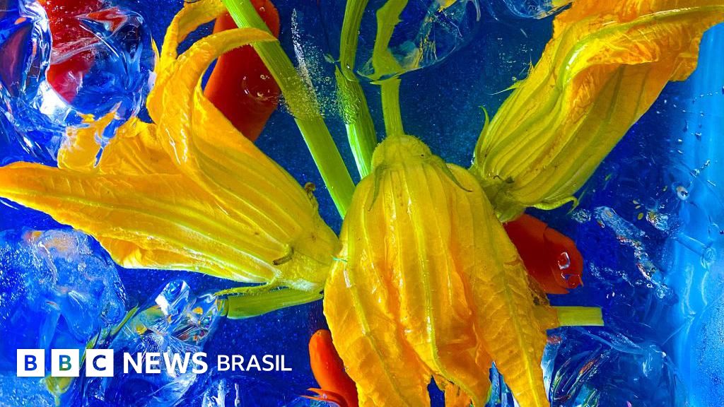 Lavanda, hibisco e outras flores comestíveis que podem ser encontradas no seu jardim