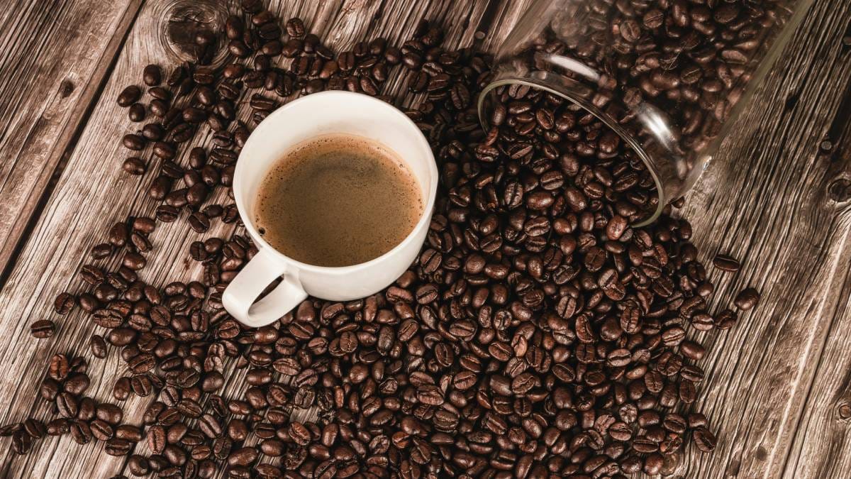 Projeto de R$ 1 milhão quer elevar café do Cerrado ao mercado global de alto valor
